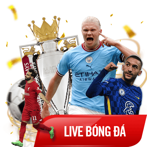 live-bongda-vn88